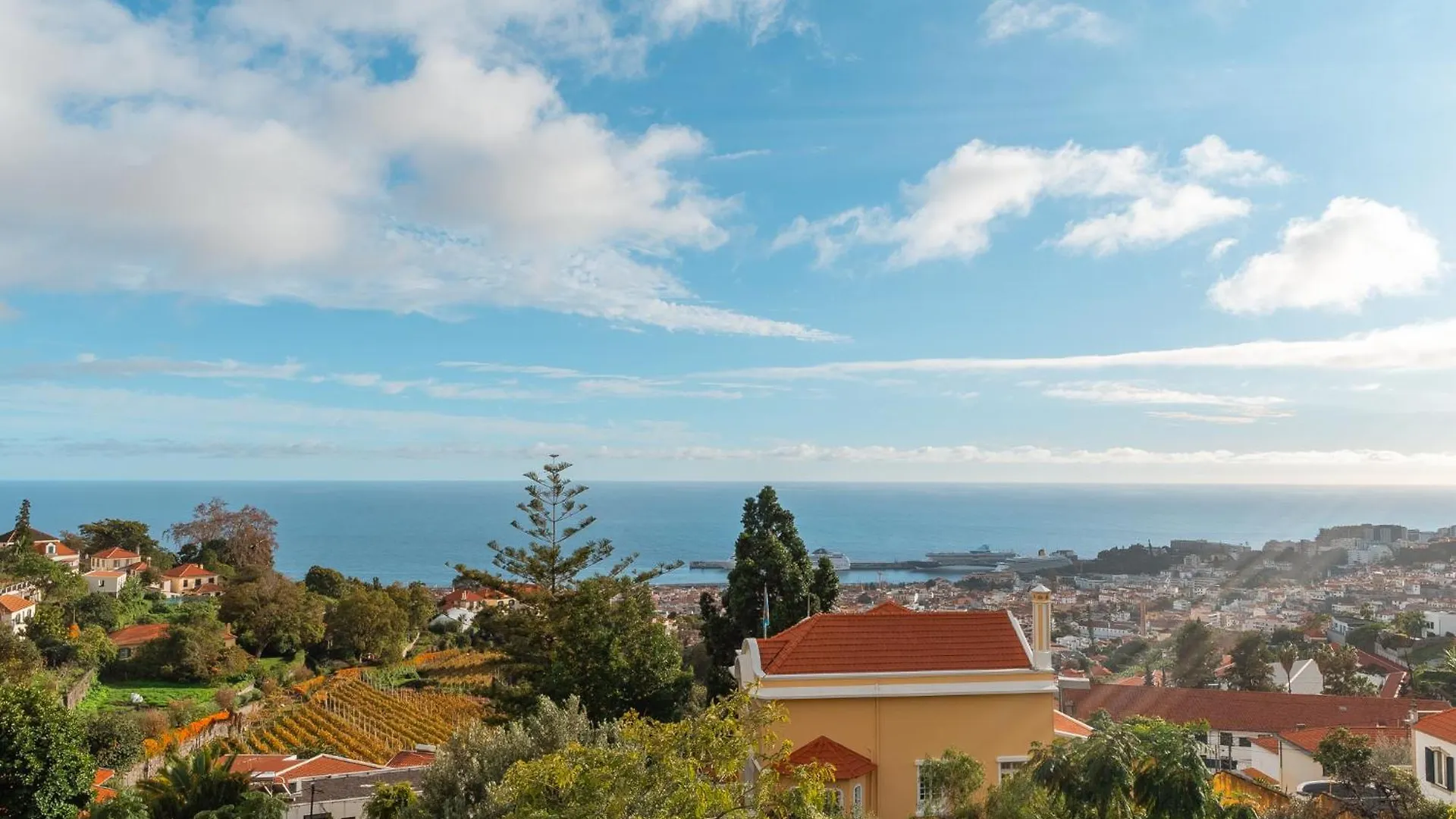Holiday home Lux House - Free Park- Wifi - Sea View Villa Funchal  Portugal