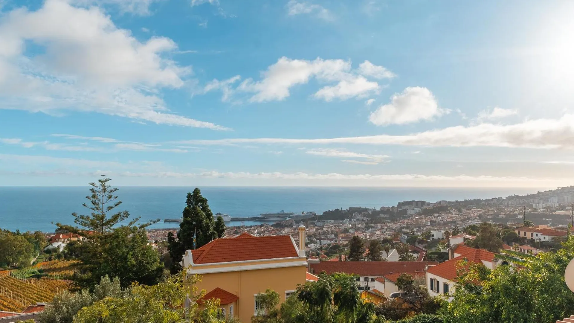Lux House - Free Park- Wifi - Sea View Villa Funchal  Portugal